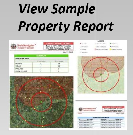 Sample Report